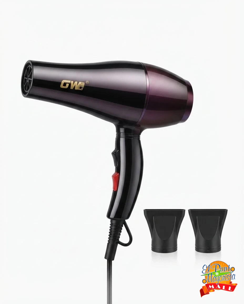 GW Hair Dryer Referencia: GW-6649